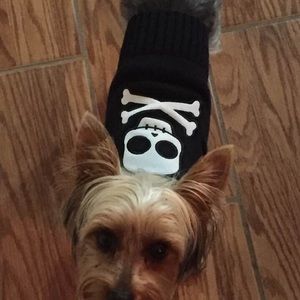 Meet your Posher, Chloe